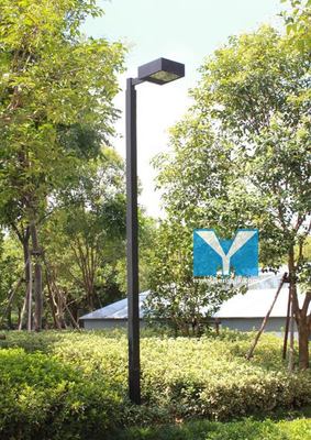 滄州泊頭報價合理的-特色庭院燈需要多少錢?