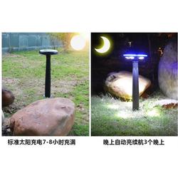 小型led草坪燈 小型led草坪燈廠 大昌路燈