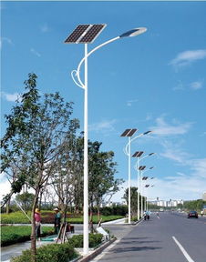 山東新農村建設6米led太陽能路燈