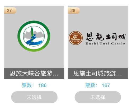 為恩施企業(yè)投票 首屆湖北省文化產(chǎn)業(yè)品牌選樹活動開啟