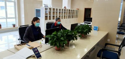 通化市檔案館 疫情防控與檔案利用服務兩不誤，檔案整理服務賦能便民